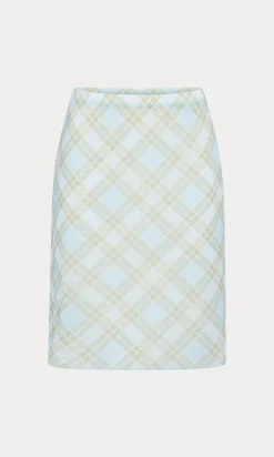 the mesh midi skirt